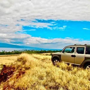 Campervan/maui Hosted By Go Camp Maui Apartment