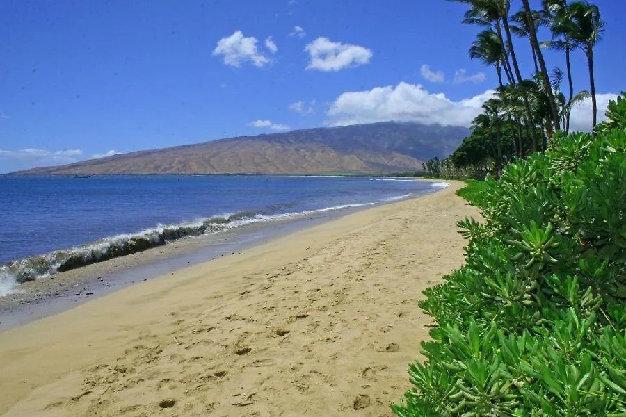 Apartment Kihei Beach, #110 Condo